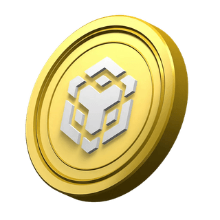 BNB coin, decorative, in the platform information section